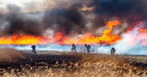 incendios forestales