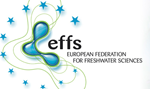 Logo EFFS-3