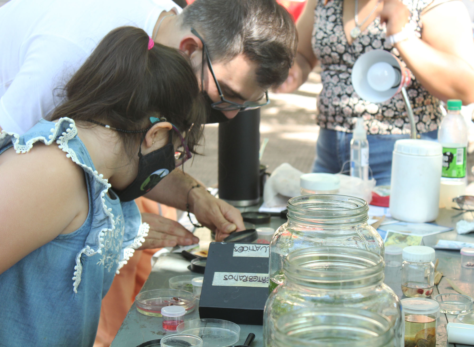 IMG_1340 IMG_1340